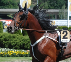 Ugly Duckling 160704-4